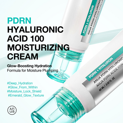 PDRN Hyaluronic Acid 100 Moisturizing Cream for Hydration & Glass Skin